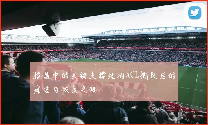膝盖中的关键支撑结构ACL撕裂后的痛苦与恢复之路