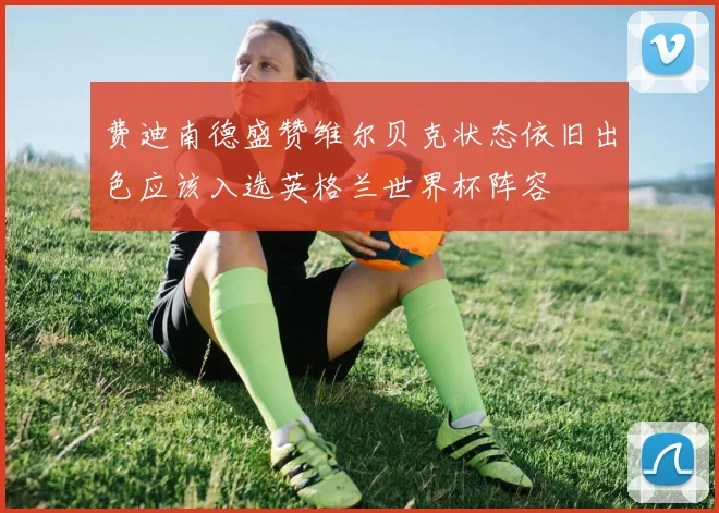 费迪南德盛赞维尔贝克状态依旧出色应该入选英格兰世界杯阵容
